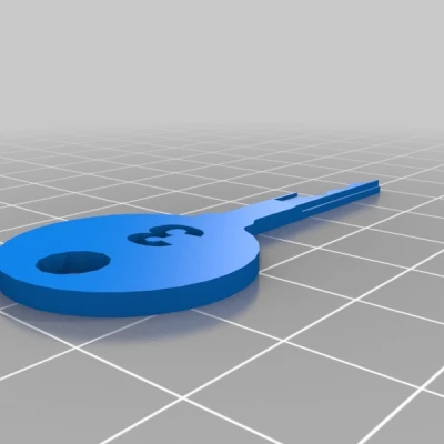 Chìa khóa Vạn năng TSA Travel Sentry 3D