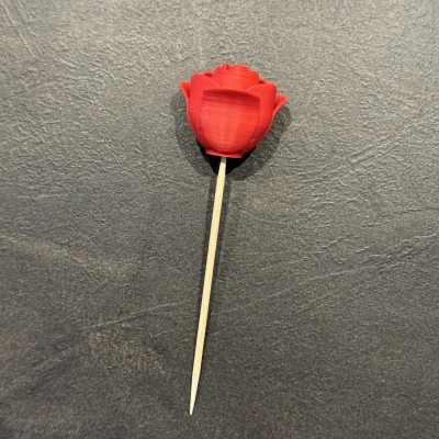 Tút tát cây tăm "Nụ hồng hé nở"