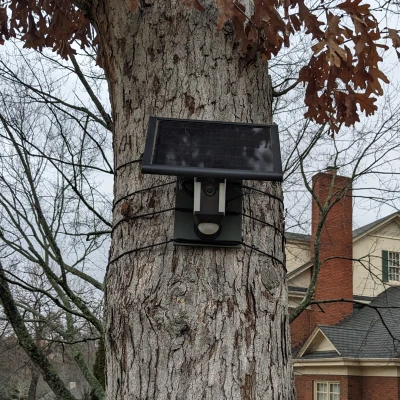 Giá Treo Camera Ring Hình Vòng Cây