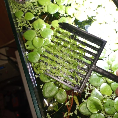 Dụng Cụ Vớt Rác Nổi Hồ Cá