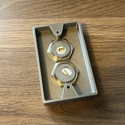 Tấm ốp tường hộp điện có hai lỗ nút bấm