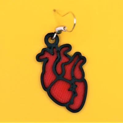 Bông Tai Hình Trái Tim Giải Phẫu