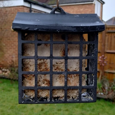 Máng ăn chim hình khối mỡ / suet