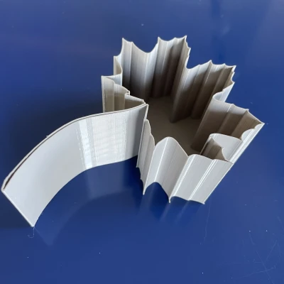 Lá của các loài cây khác nhau