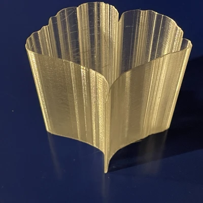 Lá của các loài cây khác nhau