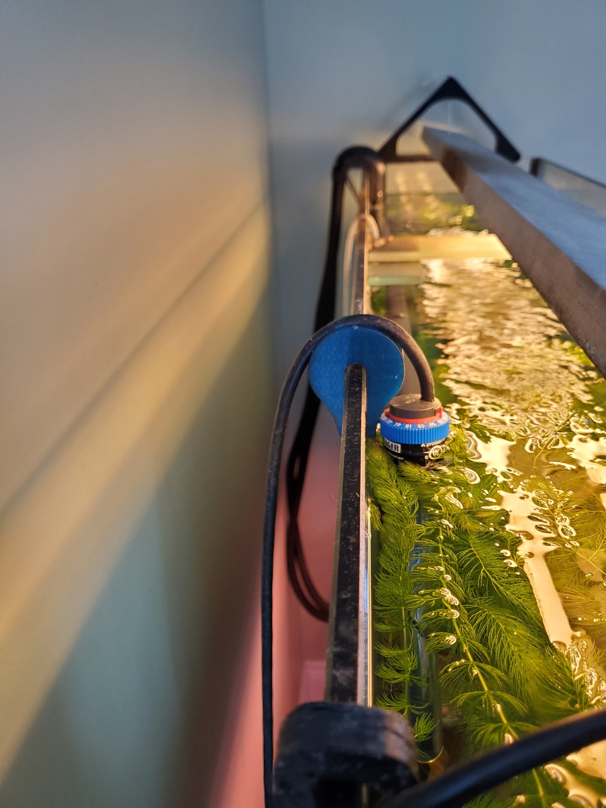 Kẹp Giữ Máy Sưởi Hồ Cá