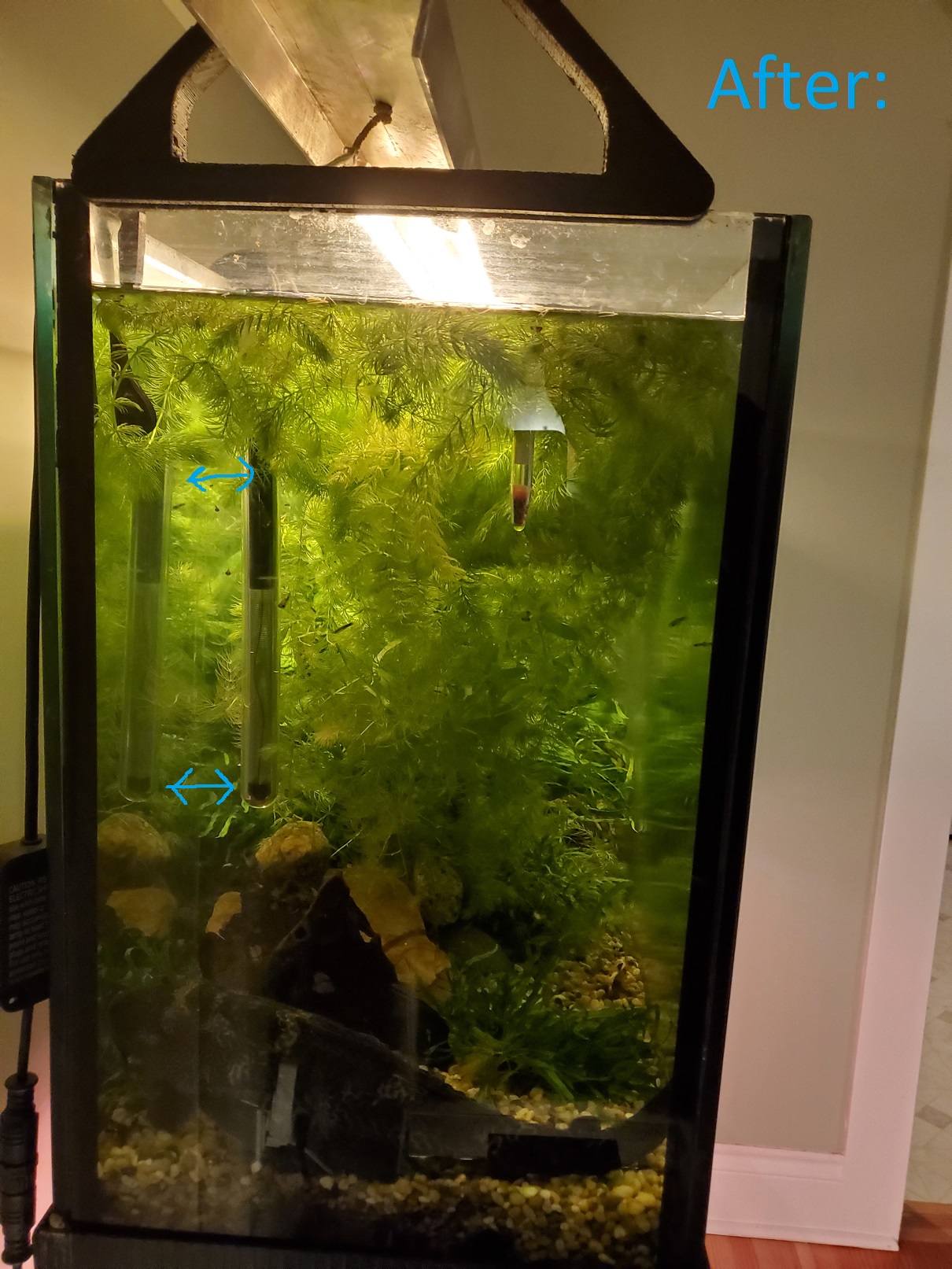 Kẹp Giữ Máy Sưởi Hồ Cá