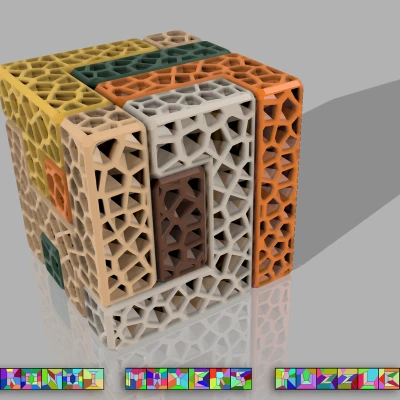 Câu đố Voronoi Mayer