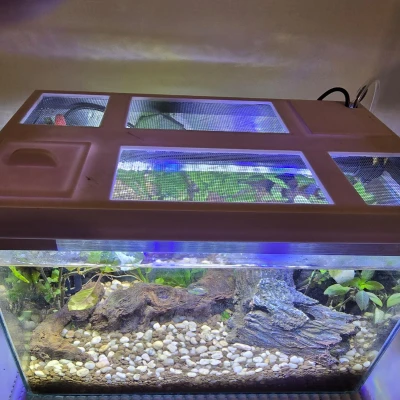 Nắp đậy hồ cá