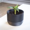 Chậu Cây Xoắn Ốc Hiện Đại - Chậu Trồng Cây, Hoa - Ý Tưởng Quà Tặng - Thumbnail 3