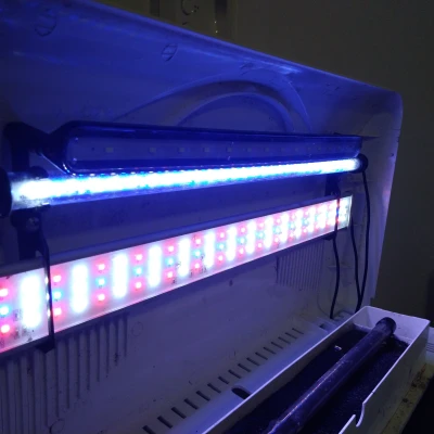 Giá đỡ đèn bổ sung cho bộ đèn INVITAL EasyTank PRO LED 58