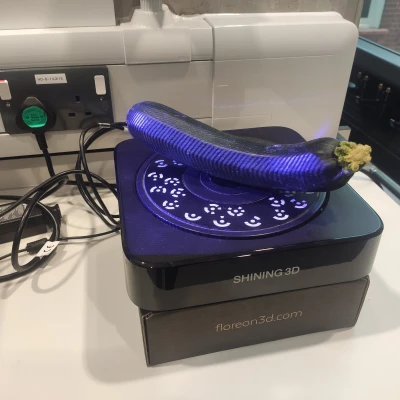 Bí Ngòi - Quét 3D