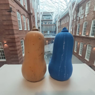 Bí Ngô Butternut - Quét 3D