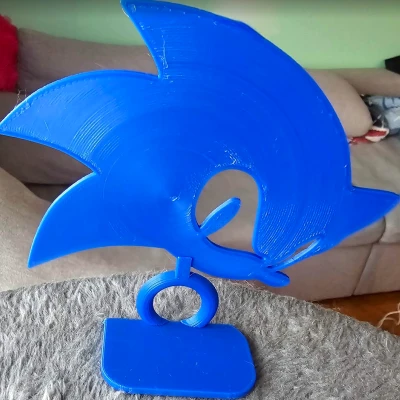 Mô hình Sonic đứng 2D