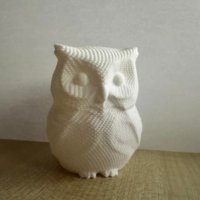 Cú Trúm Tỉnhm Cú Trúm Tỉnh Dễ Thương