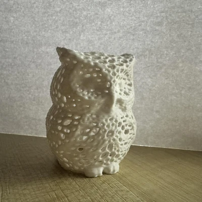 Mô Hình 3D: Chú Cú Voronoi Dễ Thương