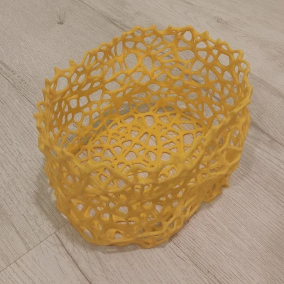 Hộp Lưu Trữ Voronoi