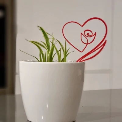 Trái Tim Hoa Hồng Valentine