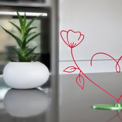 Trái Tim Hoa Valentine