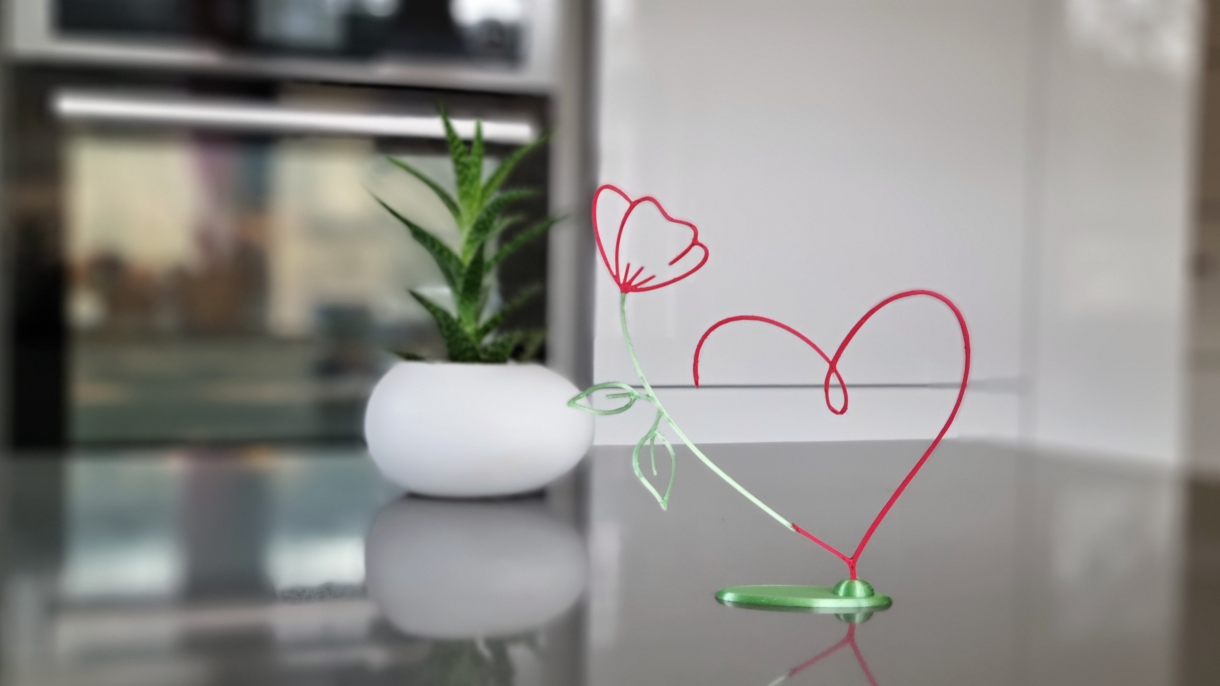 Trái Tim Hoa Valentine