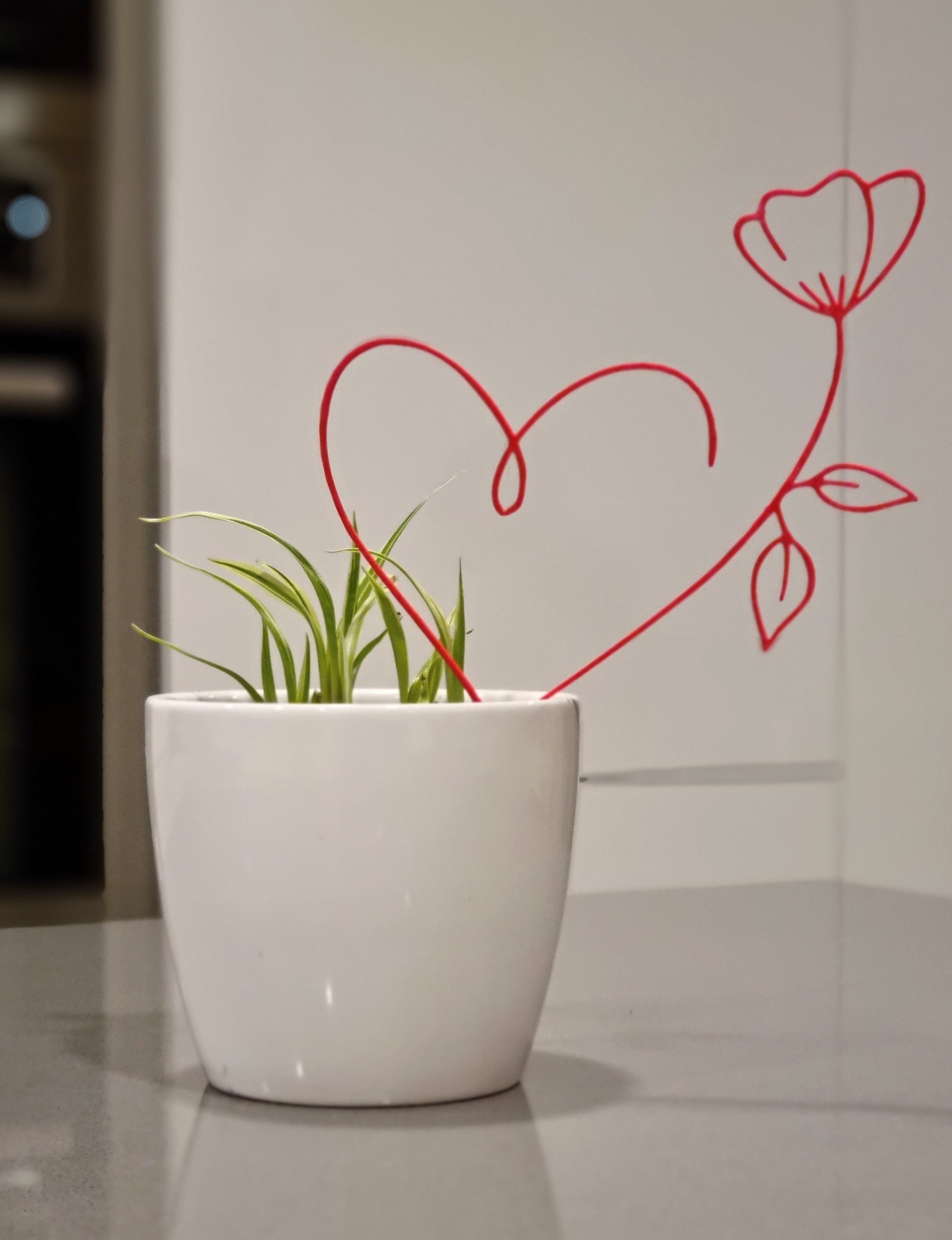 Trái Tim Hoa Valentine