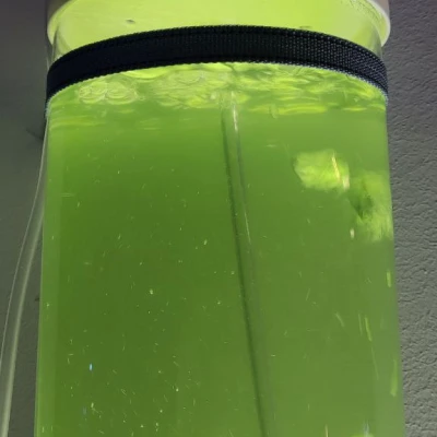 Nắp Bể Vi Khuẩn Tảo Biển / Fitoplancton Tank Cover