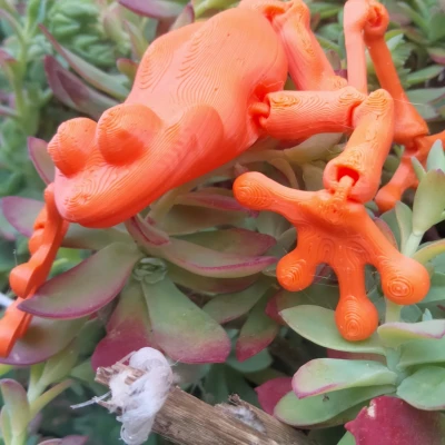 Ếch Con Dễ Thương Co Giãn In Được - Số Lượng Có Hạn