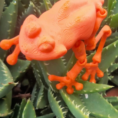 Ếch Con Dễ Thương Co Giãn In Được - Số Lượng Có Hạn