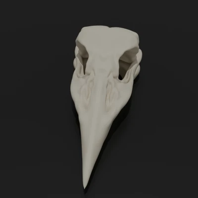 Mô hình 3D Đầu Lâu Quạ - Calavera Cuervo