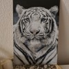 Hueforge Hổ Trắng - Thumbnail 2