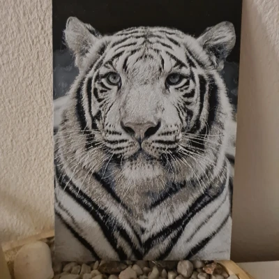 Hueforge Hổ Trắng