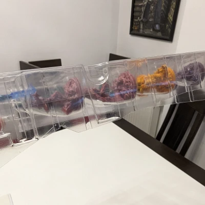 ISS Vanguard Insert (Wave 1 và personal files)