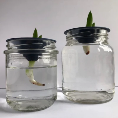 Dụng Cụ Hỗ Trợ Giâm Cành Cây