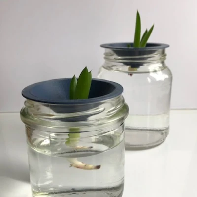 Dụng Cụ Hỗ Trợ Giâm Cành Cây