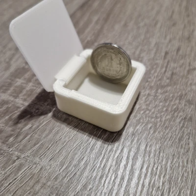 Hộp Đựng Đồ Nhỏ (Box/pudełko)