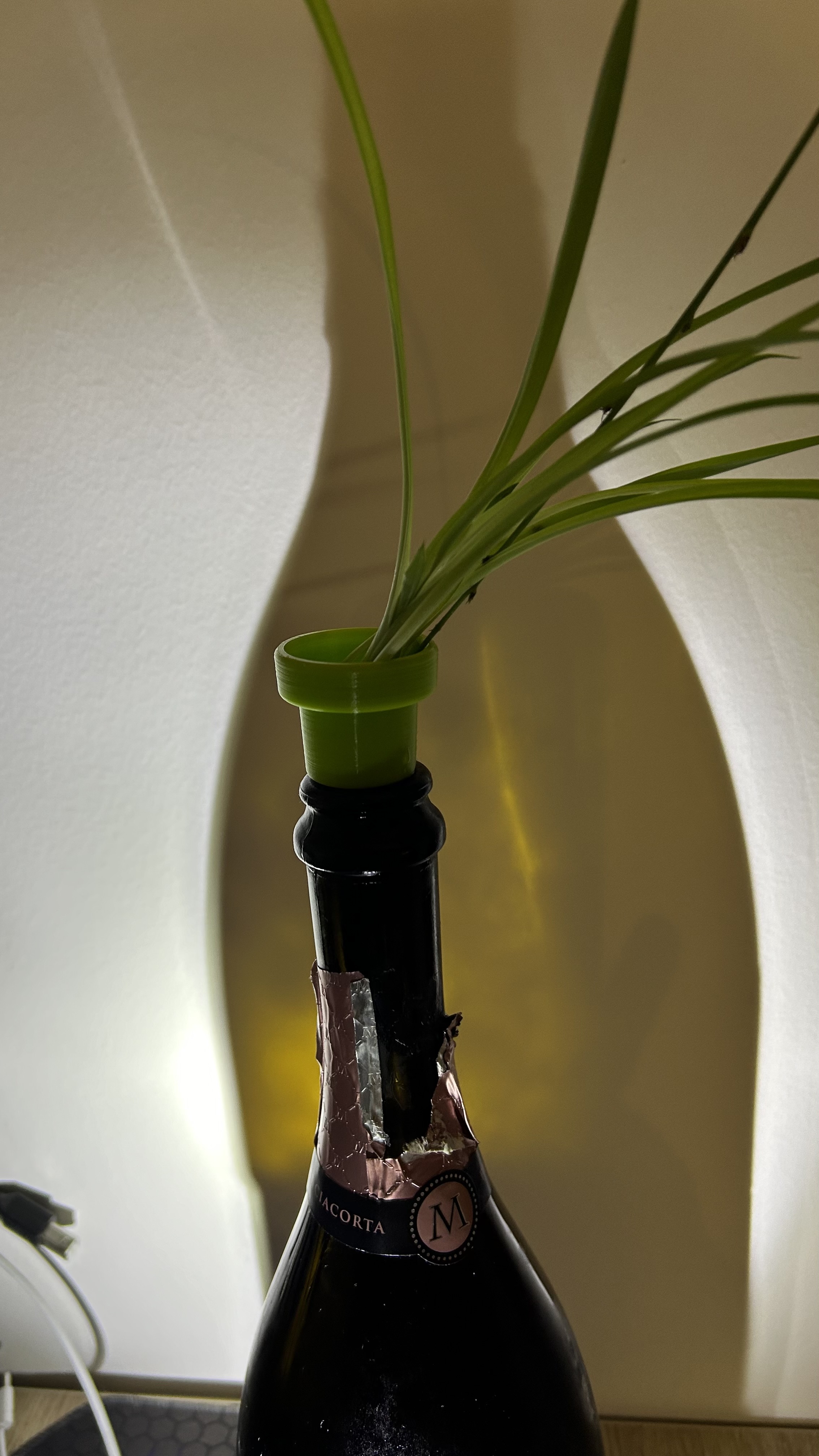 Chậu Trồng Rau Từ Chai Nhựa