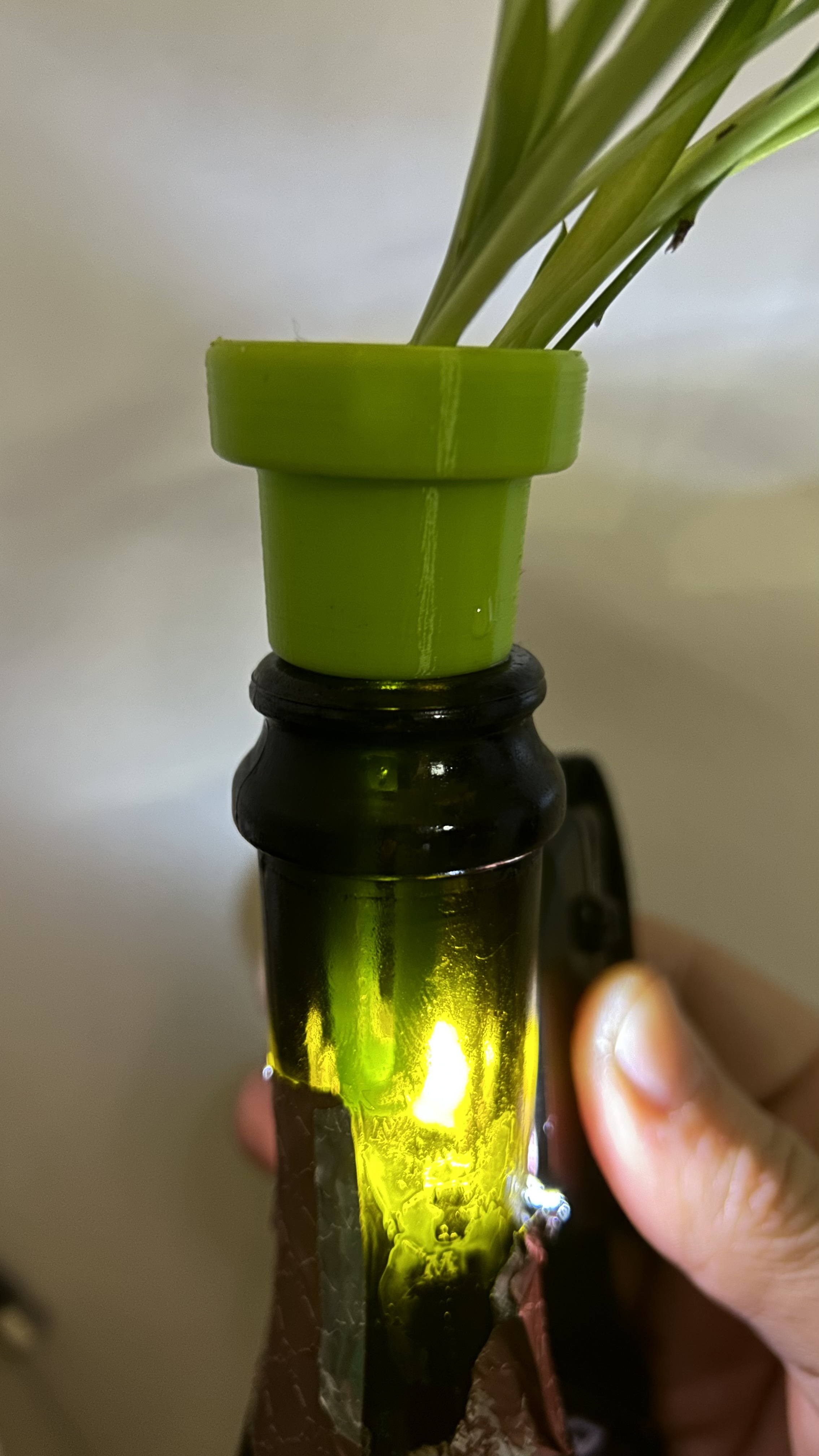 Chậu Trồng Rau Từ Chai Nhựa