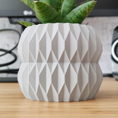 Chậu Cây Vỏ Sò - Thiết Kế Chế Độ Vase