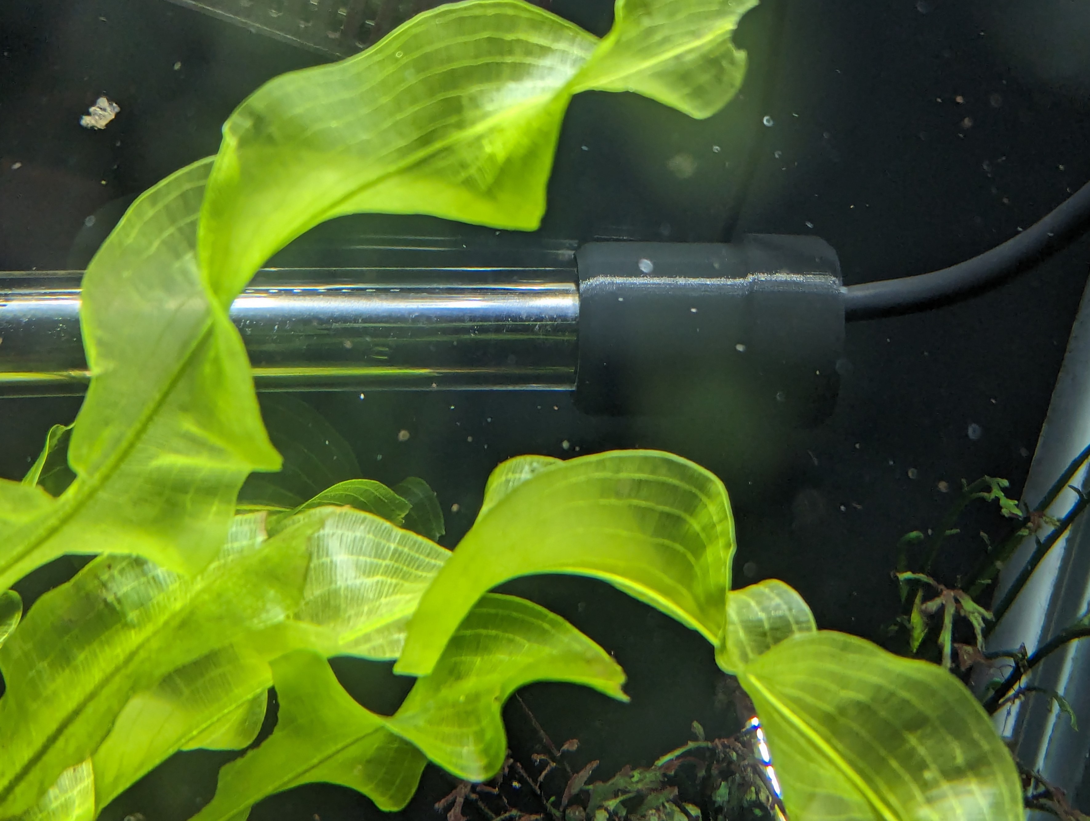 Nắp Che Núm Chỉnh Máy Sưởi Eheim Jager