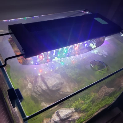 Kẹp Hỗ Trợ Nắp Hồ Cá