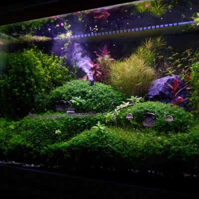 Mô Hình Nhà Hobbit Trang Trí Cây Cảnh & Hồ Cá