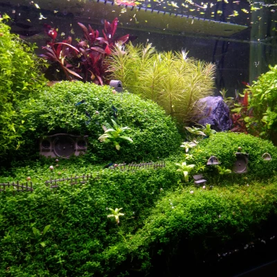 Mô Hình Nhà Hobbit Trang Trí Cây Cảnh & Hồ Cá