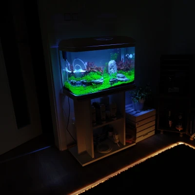 Adapter Chống Hút Tép Cho Lọc INVITAL EasyTank Aqua