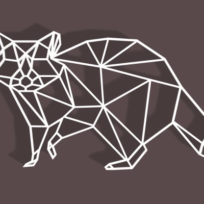 Gấu mèo Hình học