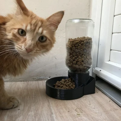 Hộp chia thức ăn cho mèo