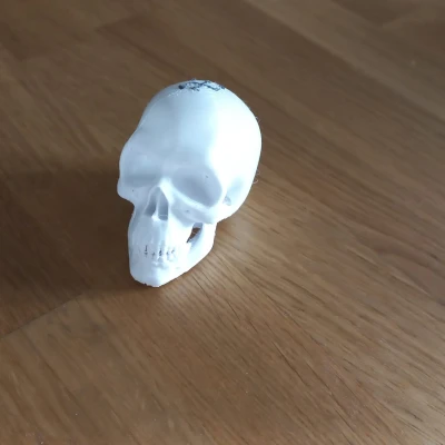 Nút Cần Số - Hộp Sọ