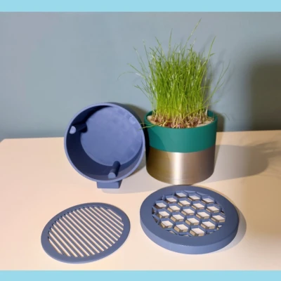 Chậu Trồng Cỏ Cho Mèo Tự In