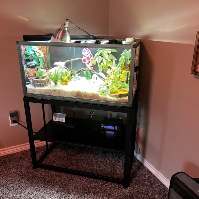 Chân Đế Phailozoo Có Móc