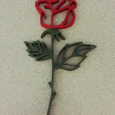 Hoa hồng đa sắc đơn giản