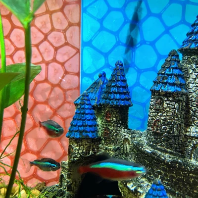 Tấm Phông Nền Hồ Cá Voronoi